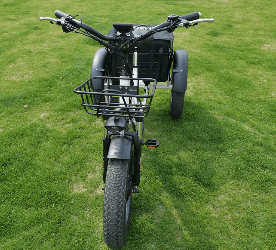 DWMEIGI Electric Fat Tricycle MG1703