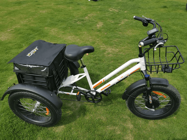 DWMEIGI Electric Fat Tricycle MG1703