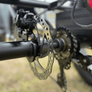 DWMEIGI Electric Fat Tricycle MG1703