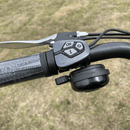 DWMEIGI Electric Fat Tricycle MG1703