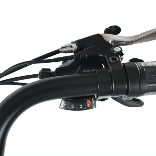 DWMEIGI Electric Fat Tricycle MG1703