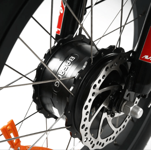 DWMEIGI Electric Fat Tricycle MG1703