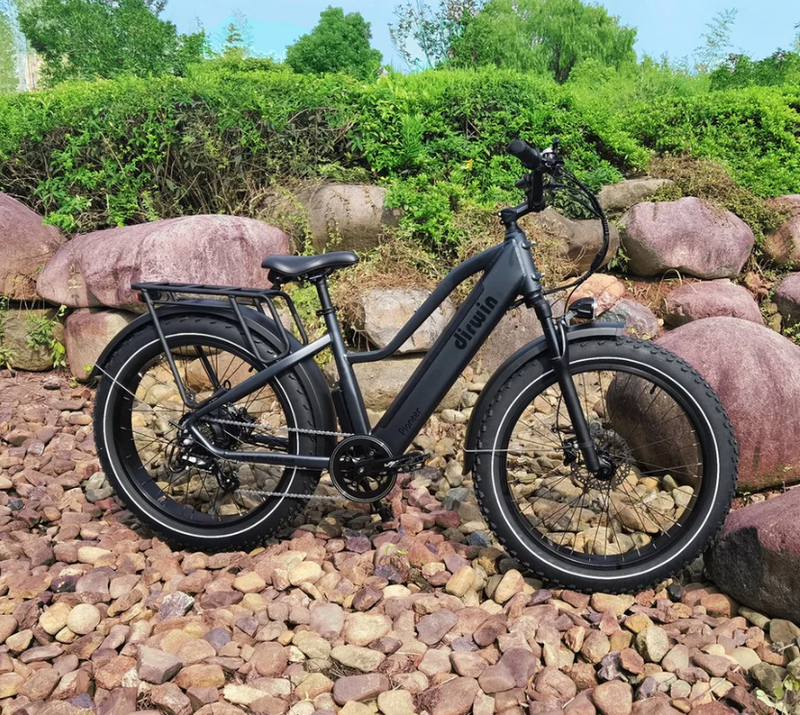Dirwin Pioneer Fat Tire Electric Bike