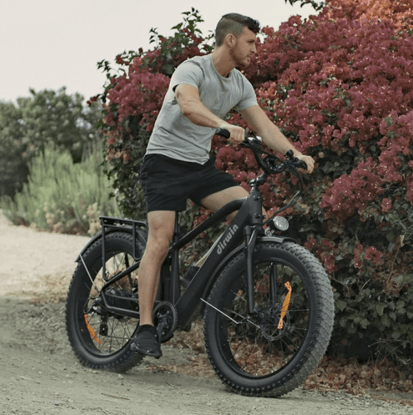 Dirwin Pioneer Fat Tire Electric Bike