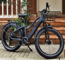 Dirwin Pioneer Fat Tire Electric Bike