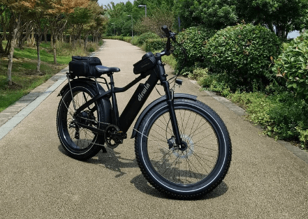 Dirwin Seeker Fat Tire Electric Bike