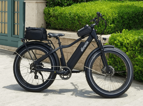 Dirwin Seeker Fat Tire Electric Bike
