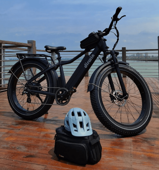 Dirwin Seeker Fat Tire Electric Bike