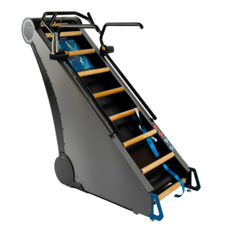 StairMaster Jacob's Ladder X
