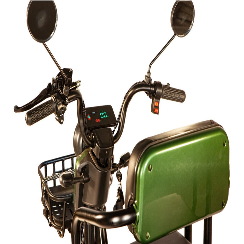 Pushpak Motors- Pushpak 3500 Two-Person Electric Scooter
