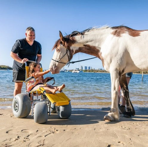 Wheeleez Sandpiper All-Terrain Kids Beach Wheelchair