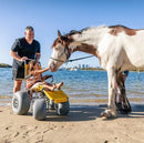 Wheeleez Sandpiper All-Terrain Beach Wheelchair Front View Yellow And Silver Color With Large Wheels Designed For Children And Small Adults On A Sandy Beach With A Young Girl Sitting With Her Father Standing Behind The Wheelchair Petting A Horse And The Ocean And Boats In The Background.