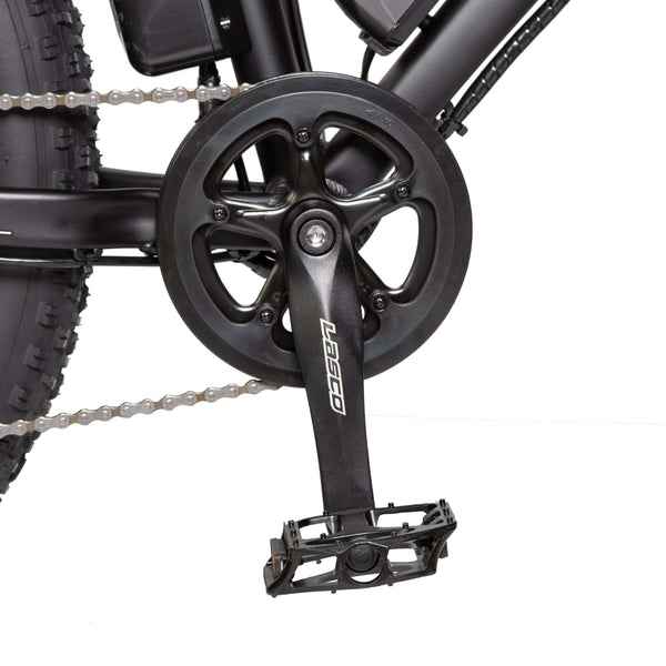 Ecotric Fat Tire Beach Snow Electric Bike D-FAT26S900USB