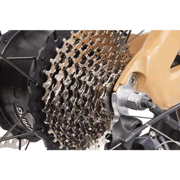 Bikonit 750W Warthog HD 750 Electric Bike