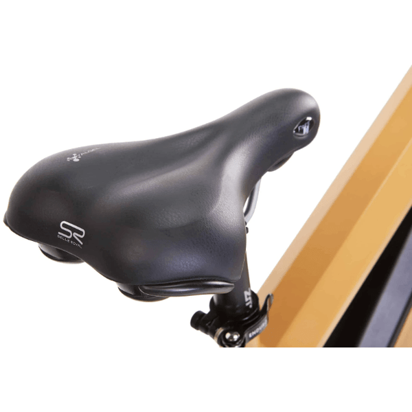 Bikonit 750W Warthog HD 750 Electric Bike