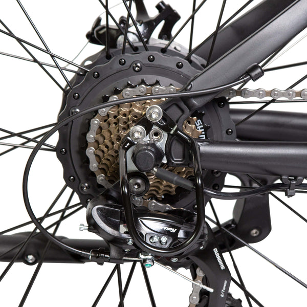 Ecotric Fat Tire Beach Snow Electric Bike D-FAT26S900USB