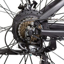 Ecotric Fat Tire Beach Snow Electric Bike D-FAT26S900USB