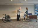 Proactive Medical Protekt® Dash Stand Assist Manual Patient Transfer Aid
