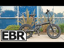 Qualisports BELUGA Electric Bike