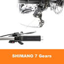 DWMEIGI Electric Fat Tricycle MG1703